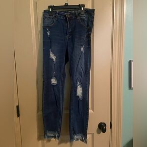 Blue Age Dark Wash Skinny Jeans